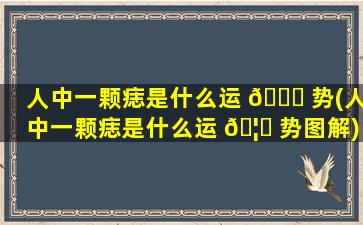 人中一颗痣是什么运 🐞 势(人中一颗痣是什么运 🦉 势图解)